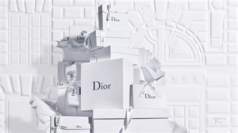 tong christian dior|dior official website uk.